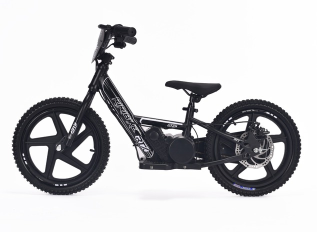 Children's electric balancer RIRIBIKE RTX6 24V (16"), black, Lithium battery, 250W motor, Disc brake