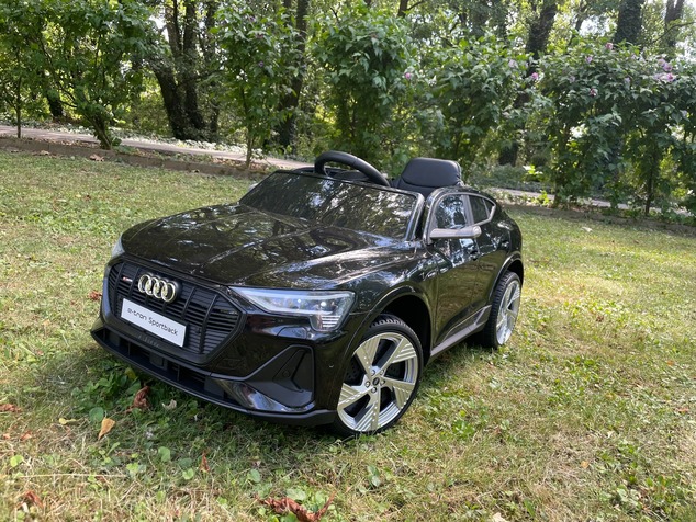 **Voiture électrique enfant Audi RSQ8 rose | Entrée USB/SD | Siège en cuir | 2 × 35 W | Batterie 12 