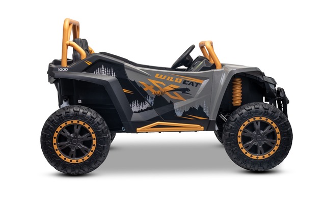 Electric Ride-on buggy Artic CAT XXL 4x4 24V, gray, two-seater, Soft EVA wheels, Powerful engines, L