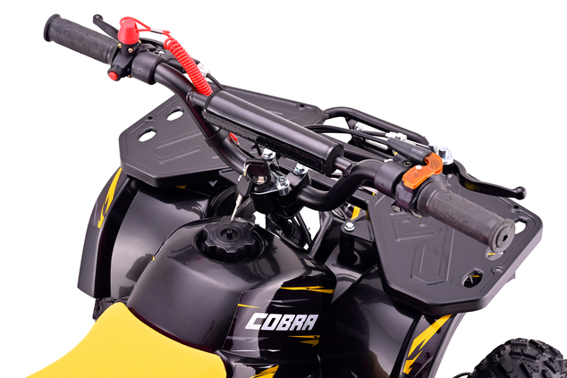 Mini quad a benzina 50cc | Beneo Motors COBRA | Per bambini di 5–10 anni | Limitatore di velocità