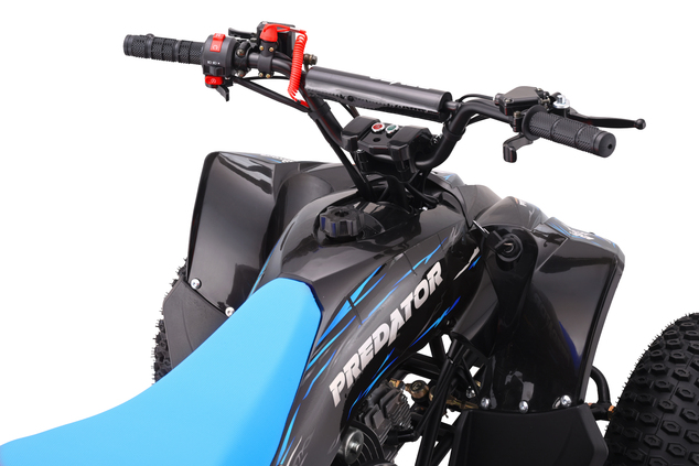 Quad a benzina per bambini 125 cc | Beneo Motors Predator | Blu