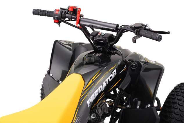 Quad a benzina per bambini 125 cc | Beneo Motors Predator | Giallo