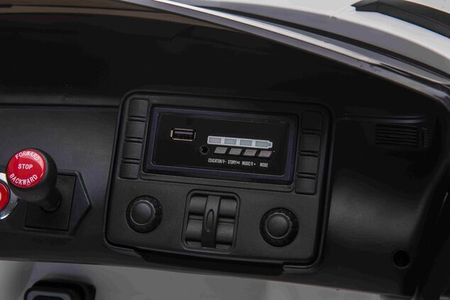 Electric Ride on Car Lamborghini Aventador 12V for two users, Green, Vertical opening doors, 2 x 12V