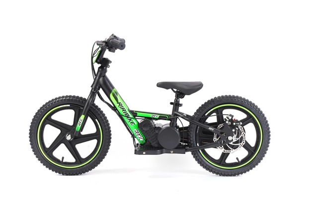 Children's electric balancer RIRIBIKE RTX6 24V (16"), green, Lithium battery, 250W motor, Disc brake