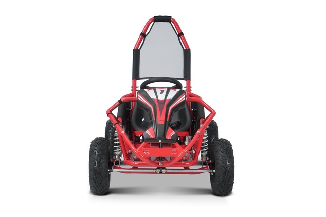 Petrol Go-Kart for children Beneo Motors BUGGY RSX red - 98cm3