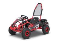 Petrol buggies
