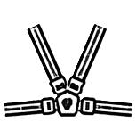 Seat belt type