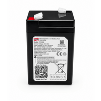 Baterie cu litiu 10,8 V / 3,1 Ah
