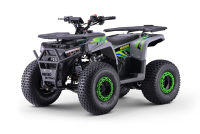 Kids Petrol Quad 125cc | Beneo Motors Warrior Green | Ages 8+ | Reverse Gear &amp; Speed Limiter
