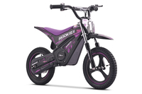 Pocket bike eléctrica para niños ROOKIE X 24V (14") | Batería de litio | Motor sin escobillas 250 W | Freno de disco
