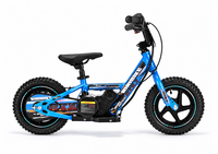 Elektrické odrážedlo | Beneo Motors RIRIBIKE RTX3 | Modré | 24 V | motor 100 W | 12" kola
