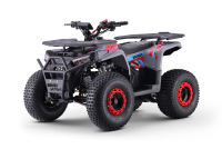 Kids Petrol Quad 125cc | Beneo Motors Warrior Red | Ages 8+ | Reverse Gear &amp; Speed Limiter
