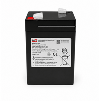 Batteria al litio 10,8 V / 5 Ah