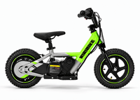 Elektrické odrážedlo | Beneo Motors RIRIBIKE RTX3 S | Zelené | 24 V | 100 W motor | 12" kola