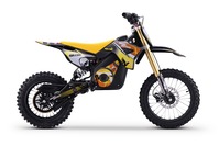 Kids Electric Dirt Bike 1600W | Beneo Motors Falcon Yellow | Ages 8+ | 48V Lithium Battery | Limiter