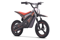 Pocket bike eléctrica para niños ROOKIE X 24V (14") | Batería de litio | Motor sin escobillas 250 W | Freno de disco