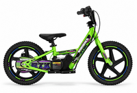 Elektrické odrážedlo 24 V, 250 W, 16" kola | Beneo Motors RIRIBIKE RTX6 | Zelené